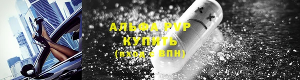 apvp Бикин