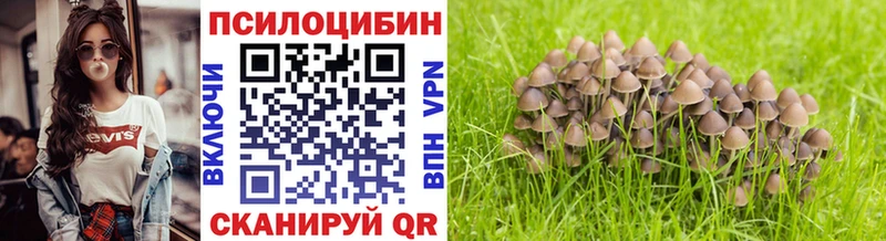 Купить закладки  Заринск  Галлюциногенные грибы Cubensis 