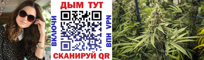 Купить где  Заринск  Каннабис индика 
